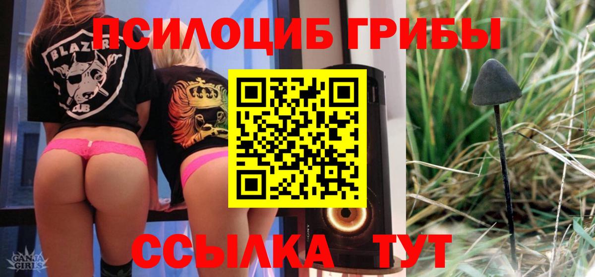Псилоцибиновые грибы Cubensis Биробиджан